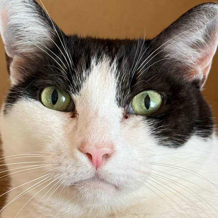 D3e96930 87be 4b25 8dfb 4c74bb512e2f 1761013806962