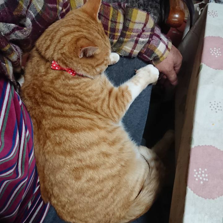 D3e980fa feb8 456b 9359 39dba9da94a5 1577576970247