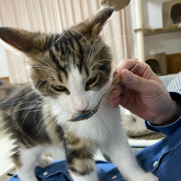 D3e9b46a 1c11 4a64 ba31 420068775b5f 1634991386786