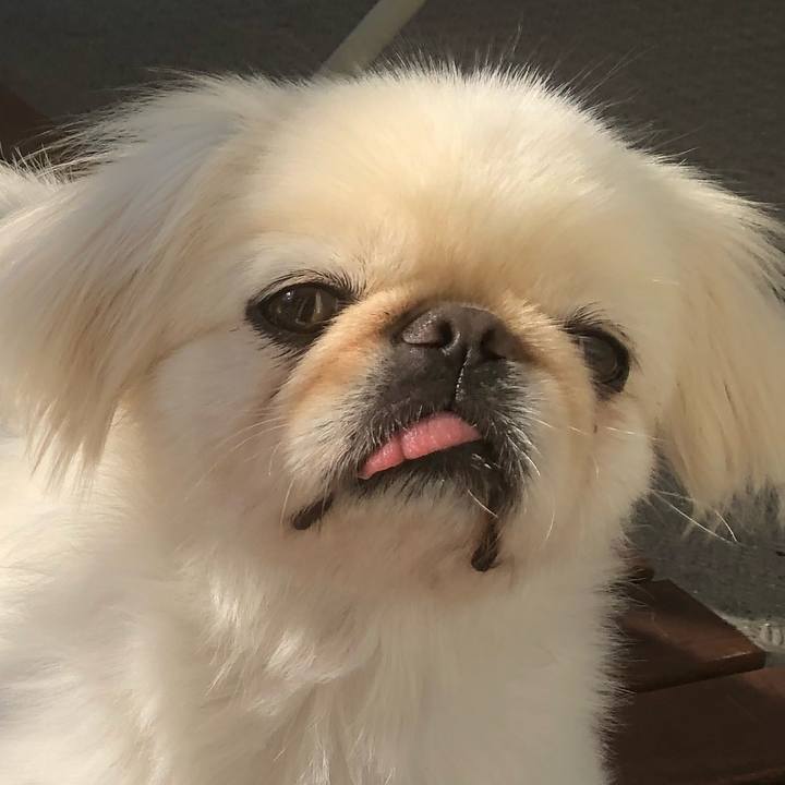 D3e9da39 cddf 4114 a7e0 155e89df96fa 1539733734399