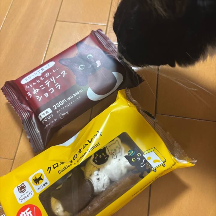 D3ea0cb1 abd0 432f bcf3 1a36aa4cfeaa 1770708271574