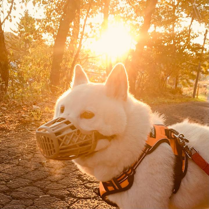 D3ea25f0 1707 48b6 9e54 56b3bc9096ea 1633643583100