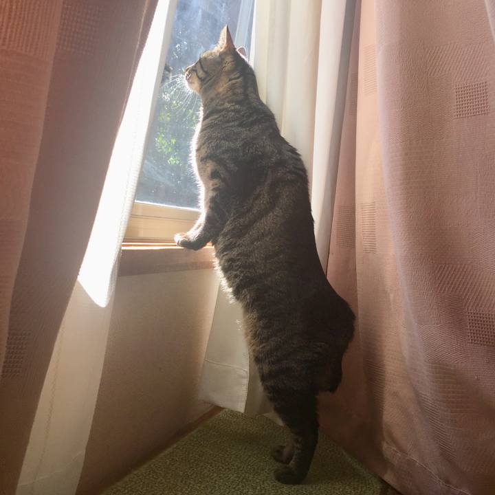 D3ea3337 8d15 48bb 8219 9ddff8bdf9f8 1518141437725