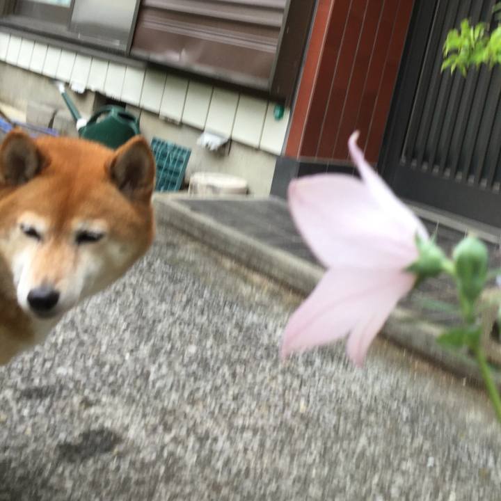 D3ea4020 2380 423e 820e 973734933527 1592097921094