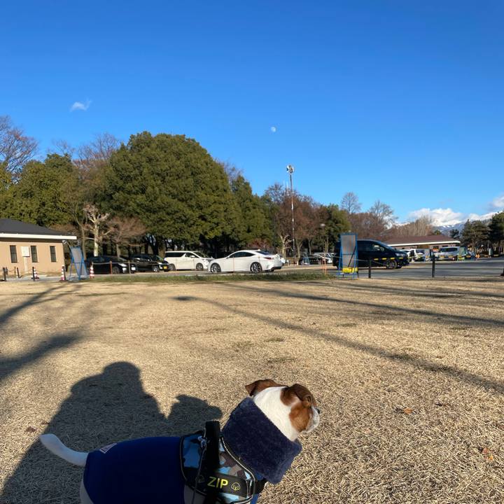 D3ea6682 4997 4741 9caa c1bb144ae334 1736583149552