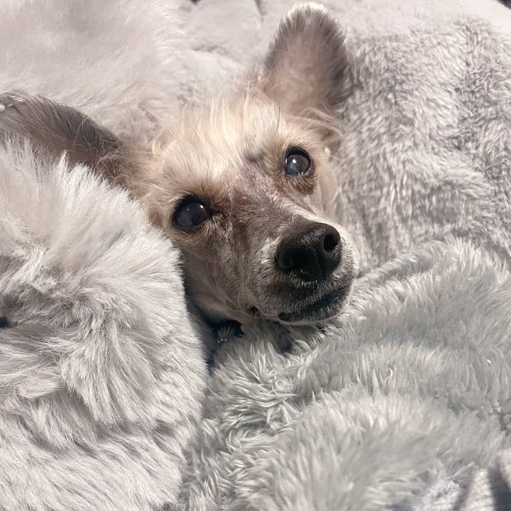 D3ea7572 5614 4be2 8cd9 902c50cc4baf 1769340121124