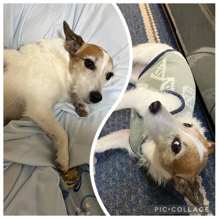 D3ea9f2c 4c36 40ab bb64 24ef8e3a27fa 1683421918578