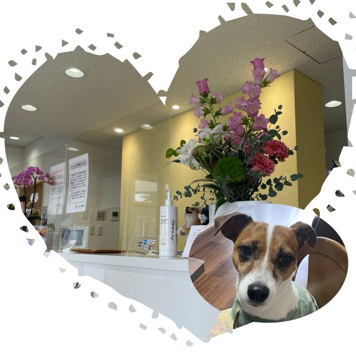 D3eaec4d 23b5 4f2a b54c 22604fa37a42 1715579670428