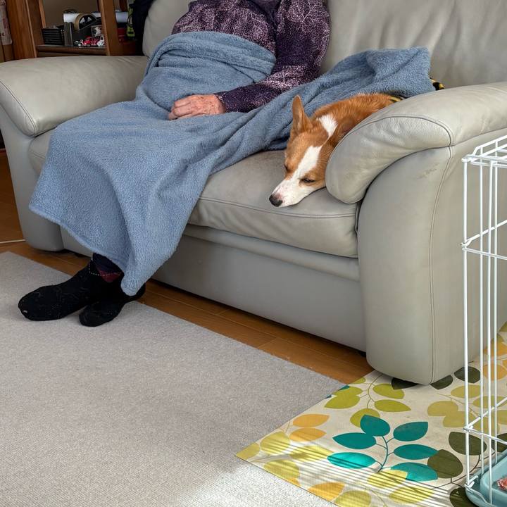 D3eb0b0b 2f6c 4d3d b081 1f69f85bbe2f 1770258941153