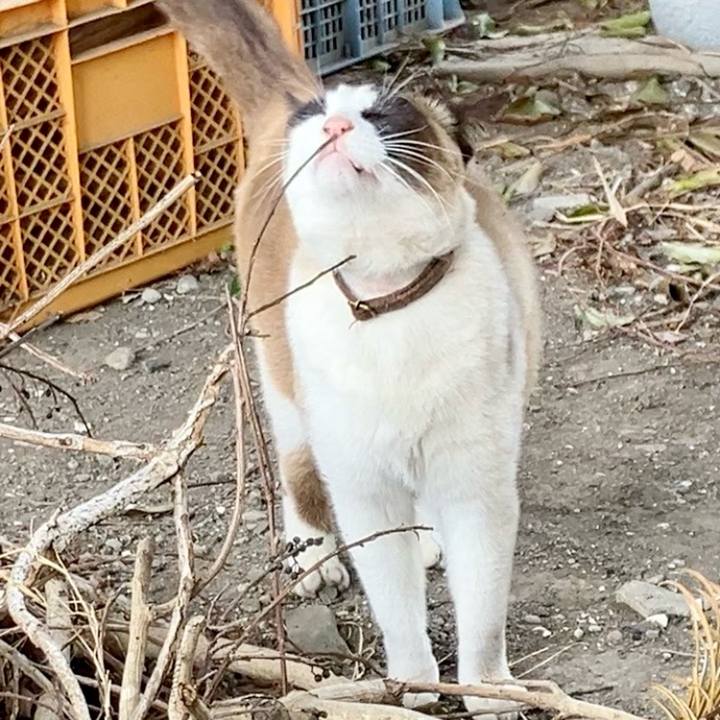 D3eb80ab 72f1 49ed 8ca4 98a249ed04c2 1743682131558