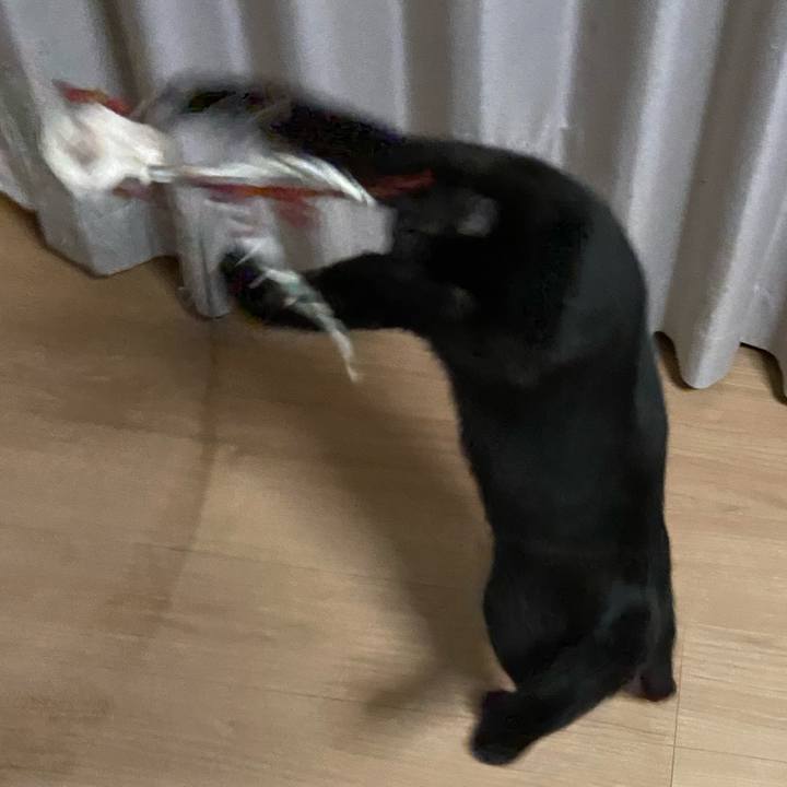 D3eb9d3e c35c 4559 9984 7b4bbf82f7cf 1637321663082