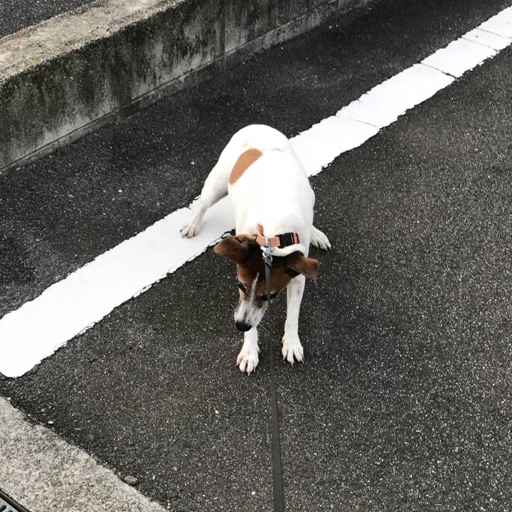 D3ebb6d3 8d9f 4abf 8c5c 2bf957fb494c 1534761826195