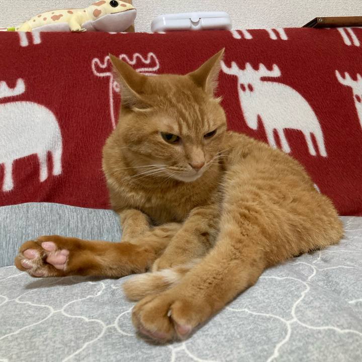 D3ebc45d f154 4830 b5db 35b6b3de27e8 1760055614931