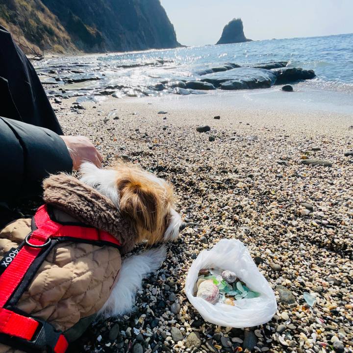 D3ec0be0 03ed 49ba 987e 229f4a18af94 1769512666171