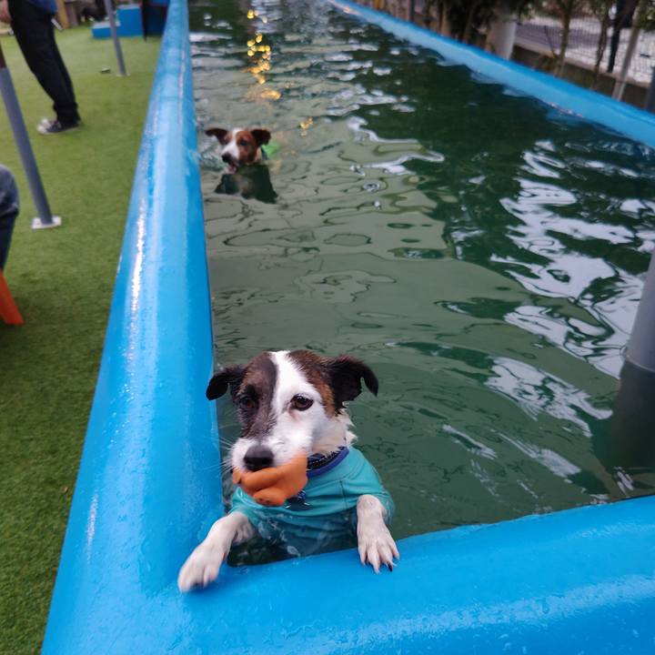 D3ec487e 376a 4a80 9ba7 2f7f87072a63 1721092203676