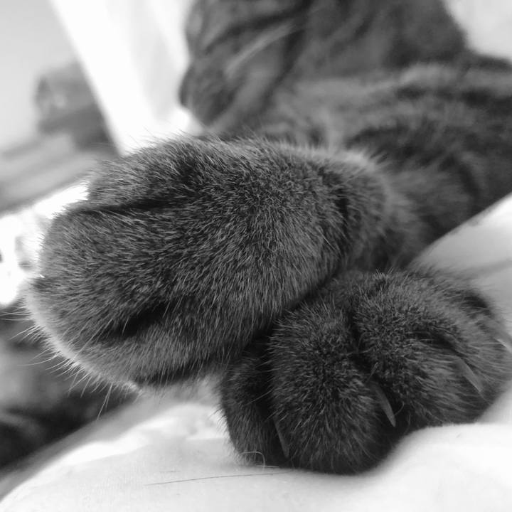 D3ec73d8 3d26 40f8 9383 af6c4cf97907 1536919122817