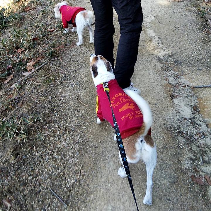 D3ecf761 6554 4e47 8f9d 266b156b6521 1578902091655