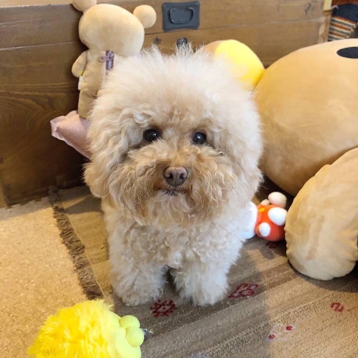 D3ed4373 a06a 4cbd b977 5ef3817c1f75 1521441894552