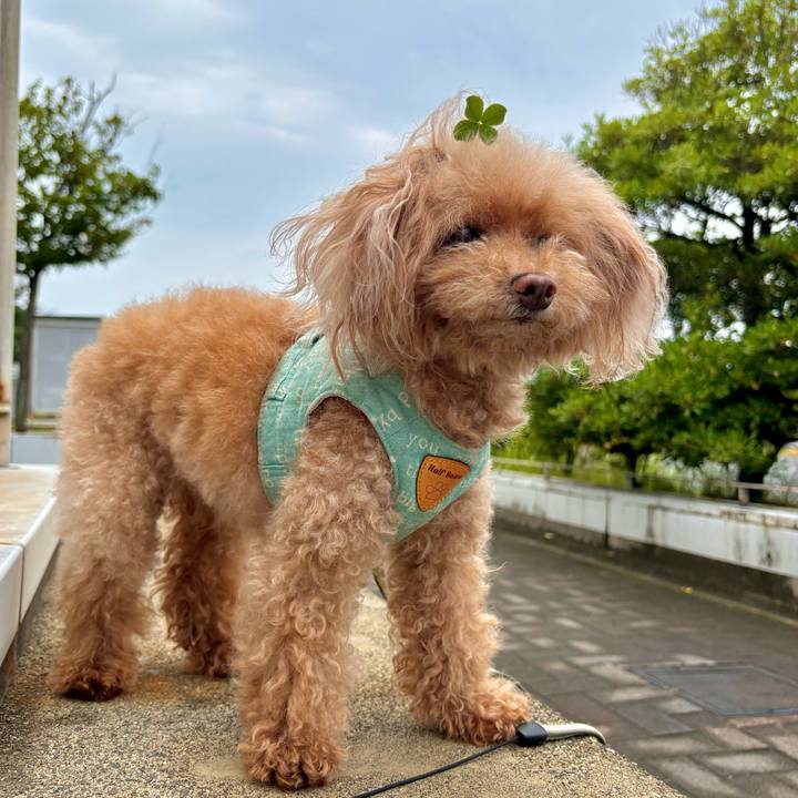 D3ed68a1 6f03 4023 98bc 26879fd82e02 1751946388064