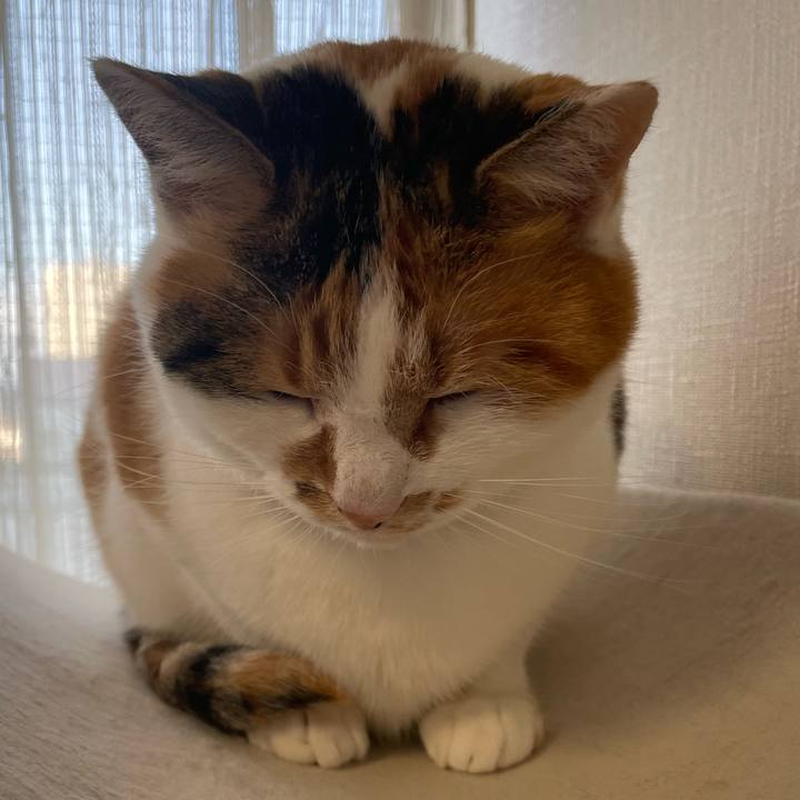 D3ed860f a220 448c 81c6 17907b94e5ea 1705361455362