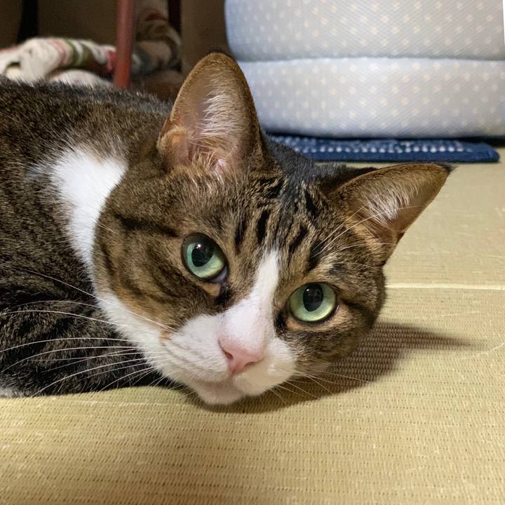 D3ee1d24 d79d 45d7 a788 bfbd19a0c90b 1568295627242