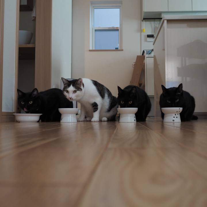 D3ee3c28 5e35 428b 9dbf 95d9512ef7bf 1534290176141