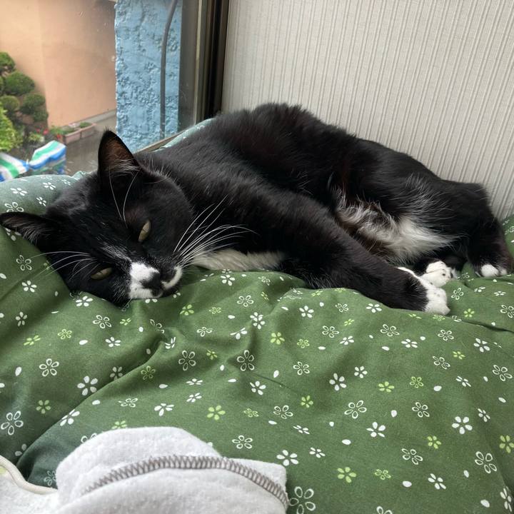 D3ee6295 4a1c 4de4 a25b 46ad19d83a53 1686108564340