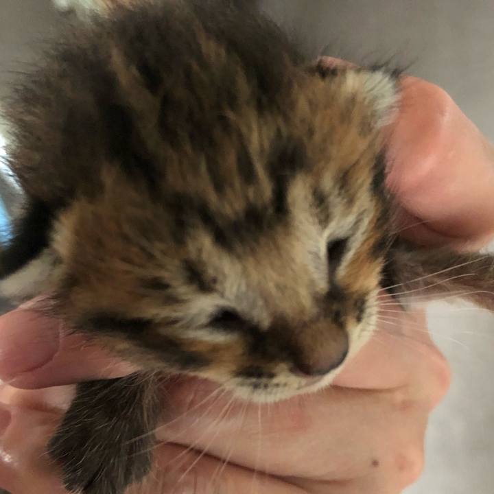 D3ee76b2 effb 4c84 b1a8 9f1d74003e30 1596702476568