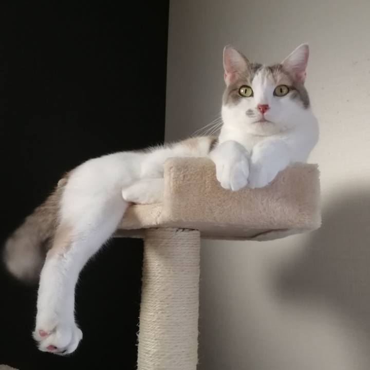 D3ee9df5 41e5 4bd9 8b3e 22b5c1ab5ecf 1570701276994