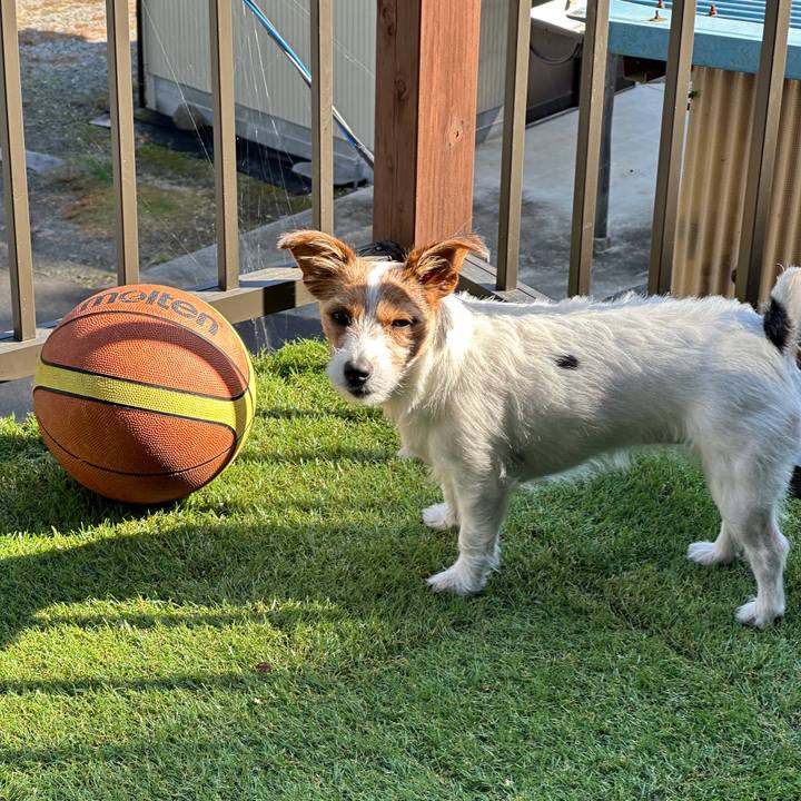 D3eebcf5 02d0 435a aaab 44c1543501bd 1763173921210