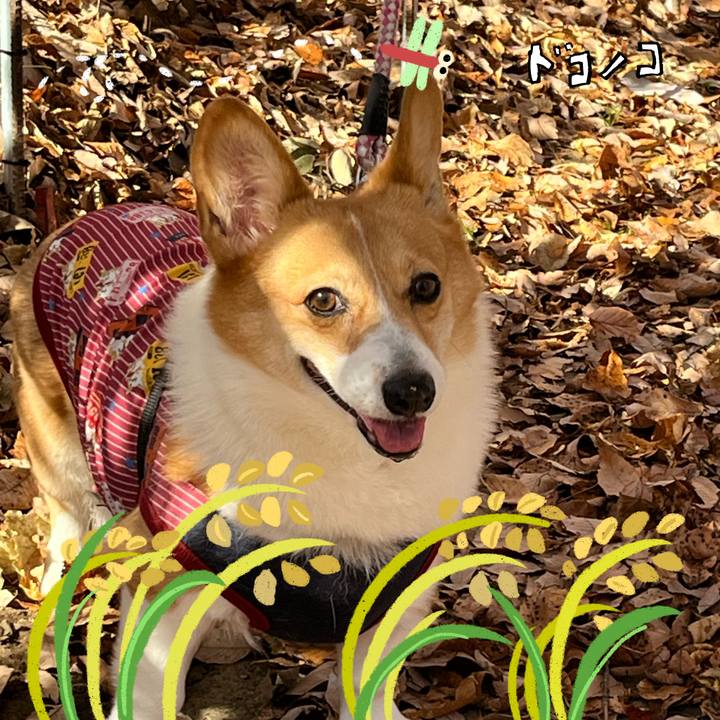 D3eec846 156b 42d0 966c 1799316f2424 1764228229957