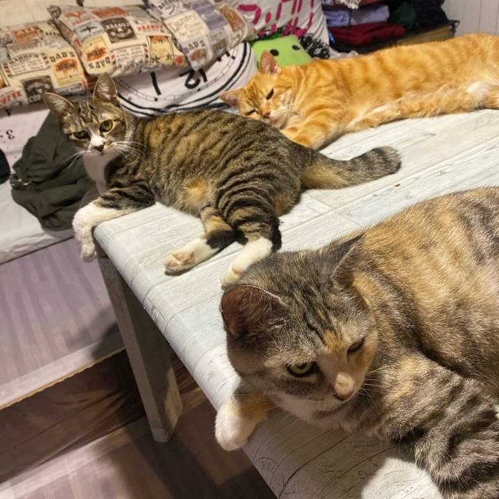 D3ef42ae 5ee4 4d18 9ba2 3c0d27137a99 1627069142810