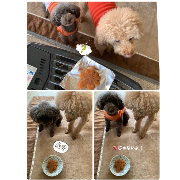 D3ef5963 507e 4749 8f5d 260170338e25 1579313845909