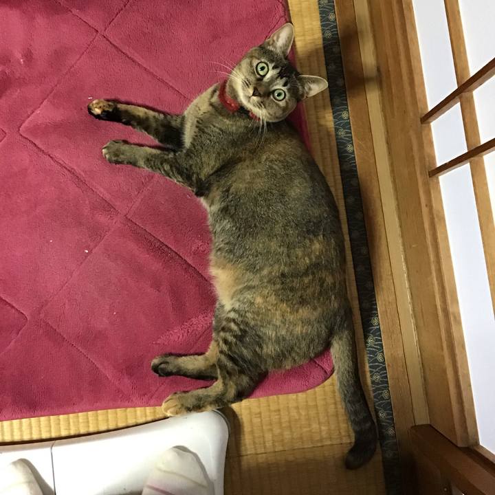 D3ef5fe6 198f 48c9 a5ea 698d3748f30b 1603087380561