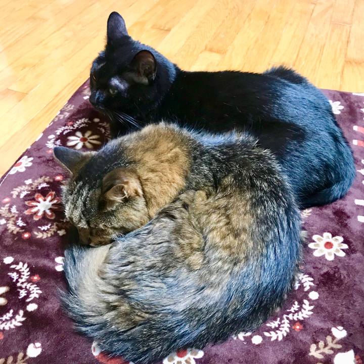 D3ef9d6e a0dc 46f4 bfd2 9c01e207c3dc 1509187520050