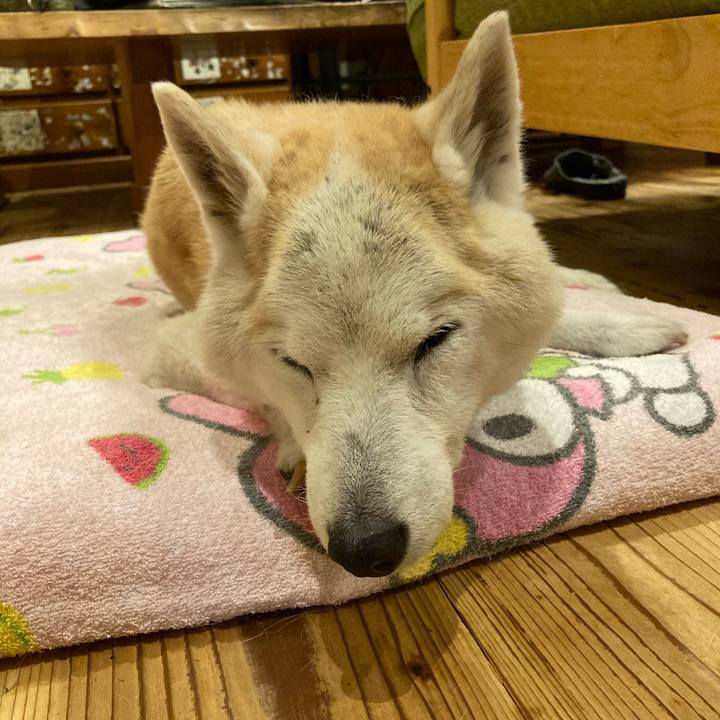 D3efb827 f4a7 4fb7 a2b0 0d44887ec111 1594042617030