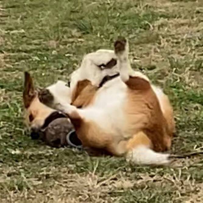 D3efc1ec 459c 453f 855c 0ad7236de7df 1678151207686