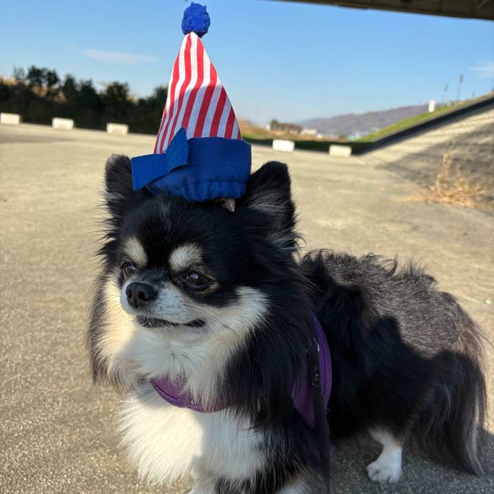 D3efc3ef 4c14 4871 954f bf61e02980aa 1765425316803