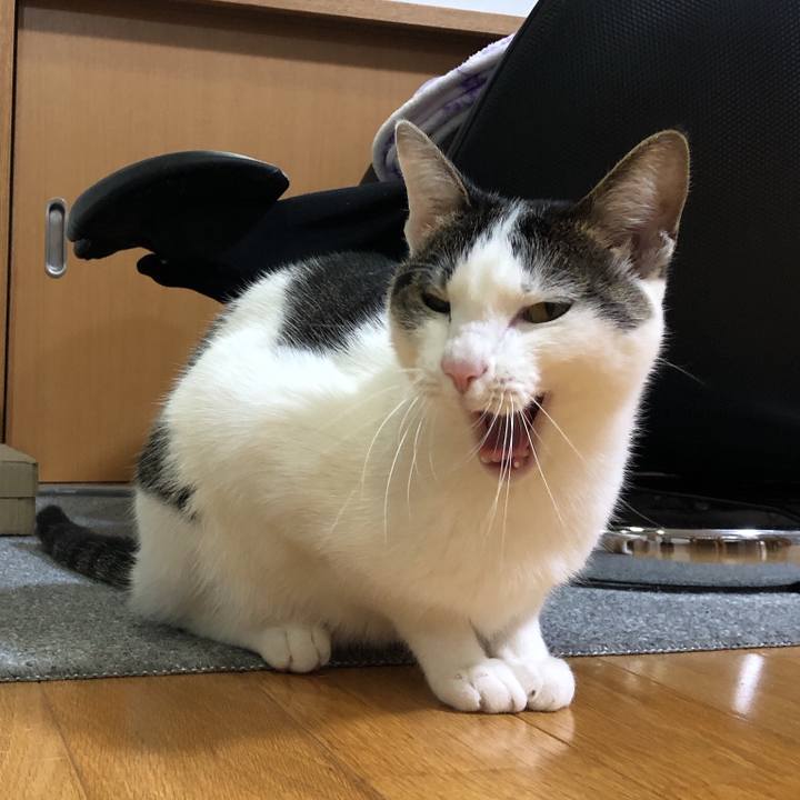 D3f01885 0750 489c 8fd4 8a6f4377d0ee 1617023843358