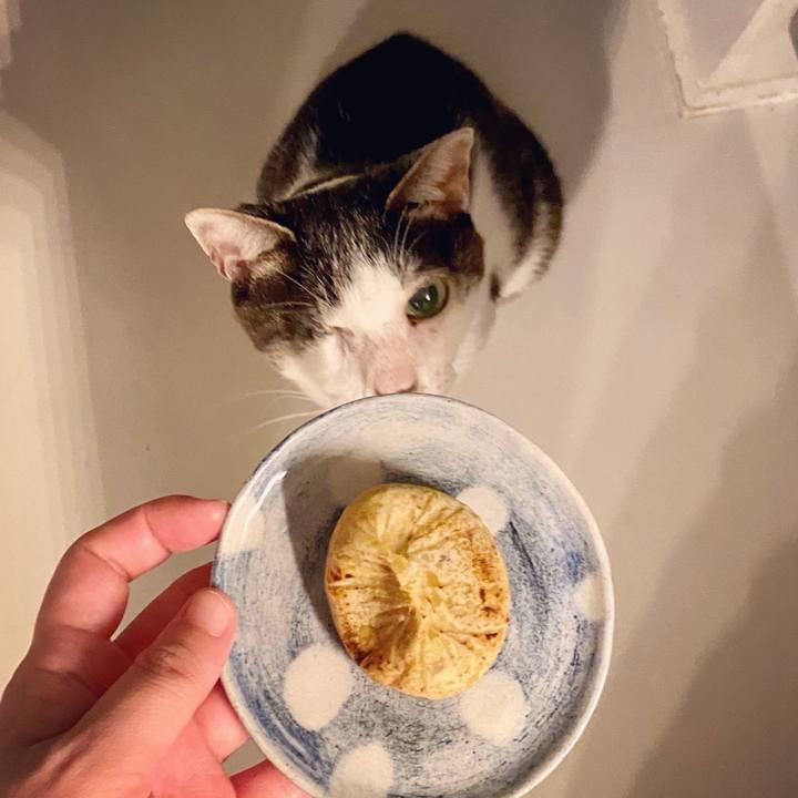 D3f027f9 9615 4b96 b502 55f582f0afef 1600519714626