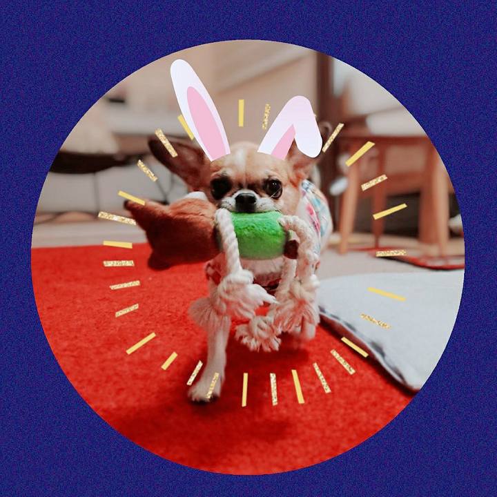 D3f03c24 52ee 40eb bee9 988e12c202a3 1601540401811