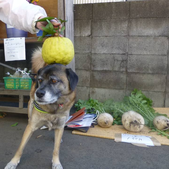 D3f05a46 e0d1 4f86 9c57 22454e0b07f8 1580893428067