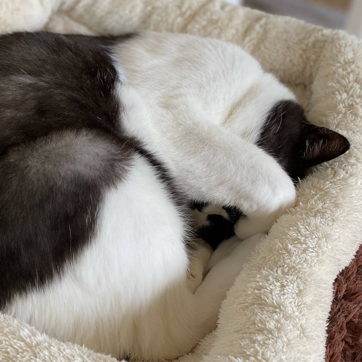 D3f06aff 6f84 4d60 a355 e03da97cfefa 1611717161553