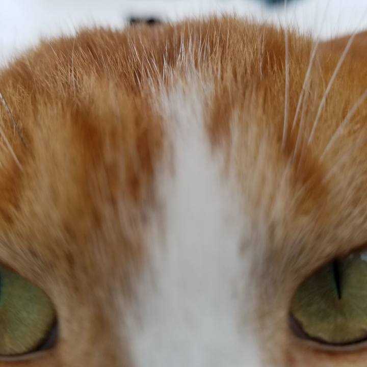 D3f08927 25de 47ec 8971 996e86d2c1b9 1548465769691