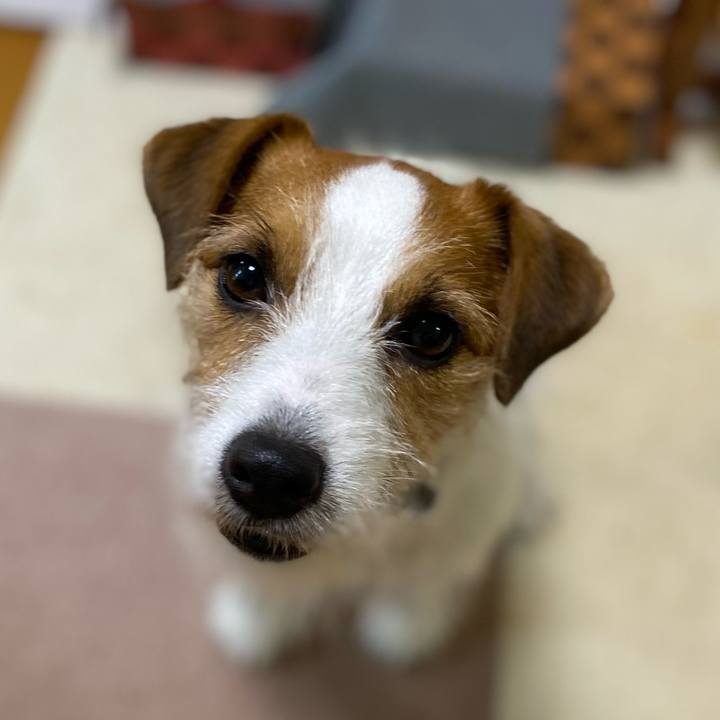 D3f08d64 1ef9 4338 a48b f7941ddda0de 1722809793013