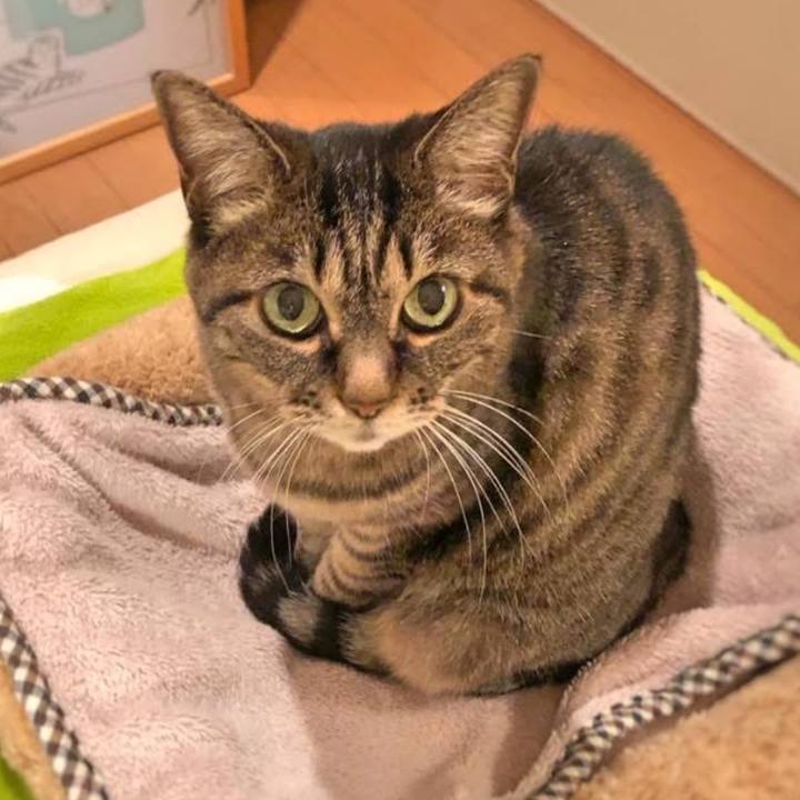 D3f0d37f 3a6f 4c8d aca5 60164c91af42 1762900409927