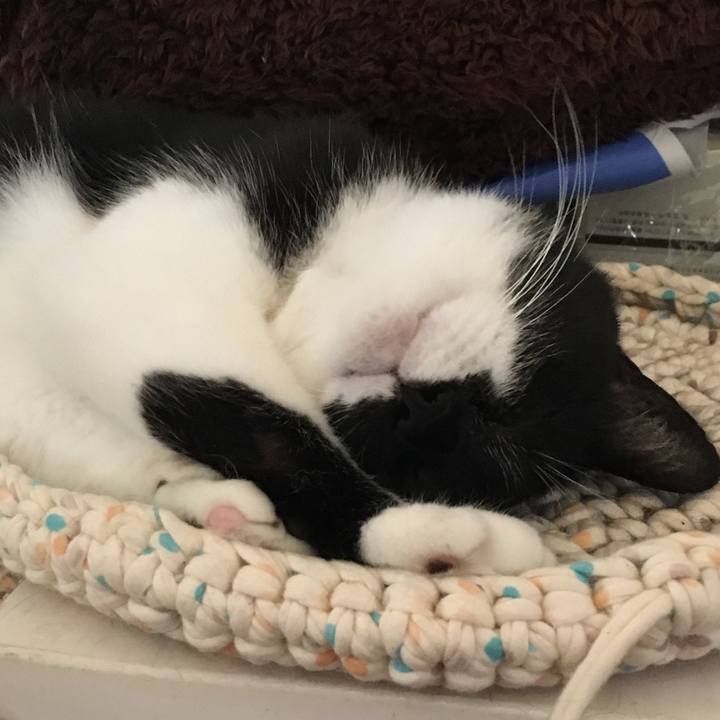 D3f10d05 e13d 43ed aa6c 4a5dbf9e3848 1532916120846