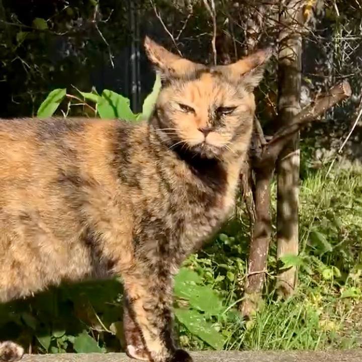 D3f15b9a 078b 4bd6 9822 85de847d7d4e 1728446603813