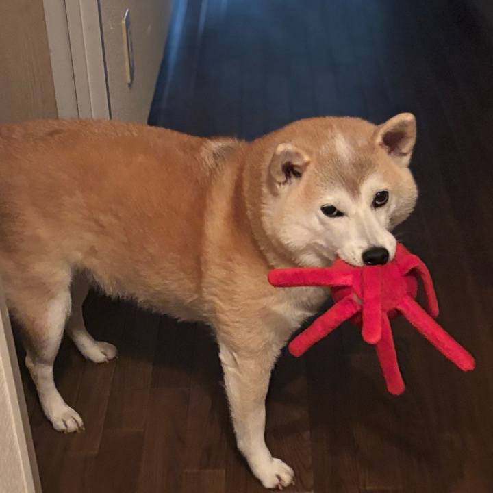 D3f15e22 6556 49a5 8d0c f45a76f6661a 1738791406734