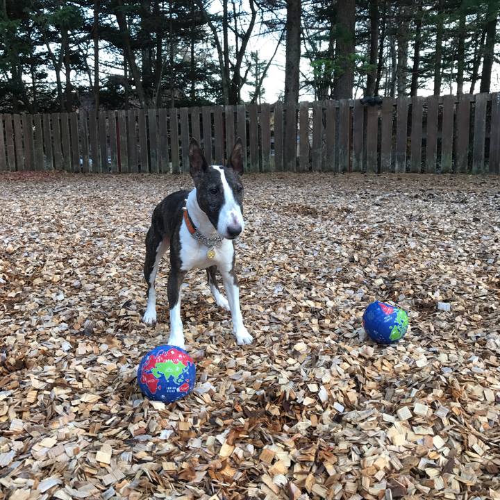 D3f163e5 57a0 470c be9d d55300c95d69 1510906216968